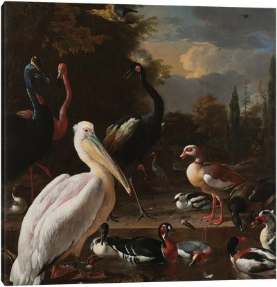 Birds in Pool Canvas Art Print - Florent Bodart