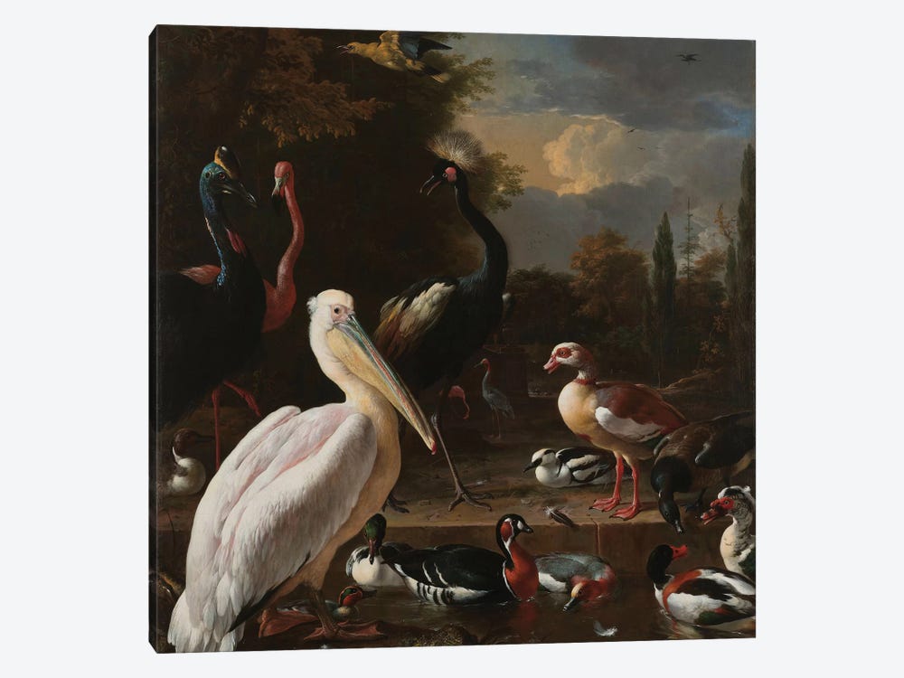 Birds in Pool by Florent Bodart 1-piece Canvas Print