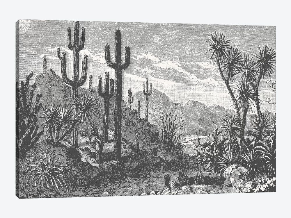 Cactuses In Mountains by Florent Bodart 1-piece Art Print