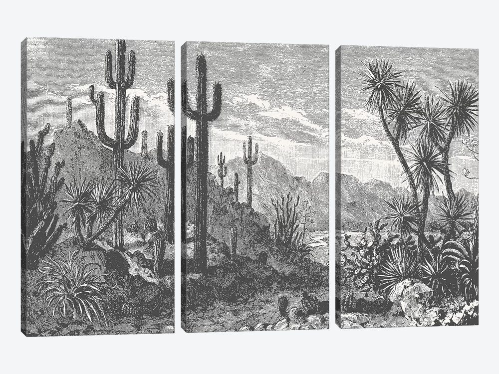 Cactuses In Mountains by Florent Bodart 3-piece Canvas Art Print