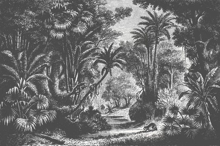 Indian Jungle by Florent Bodart wall art