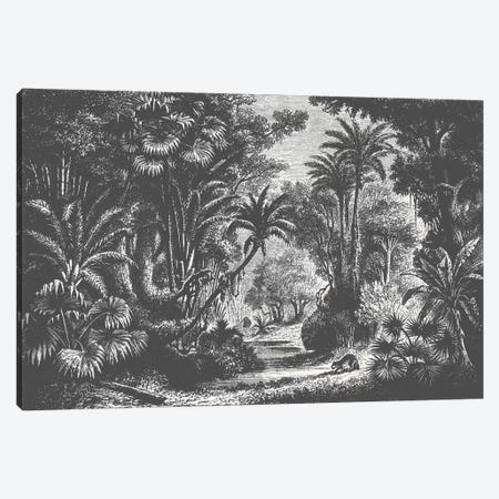 Indian Jungle Canvas Print #FLB135} by Florent Bodart Canvas Art Print