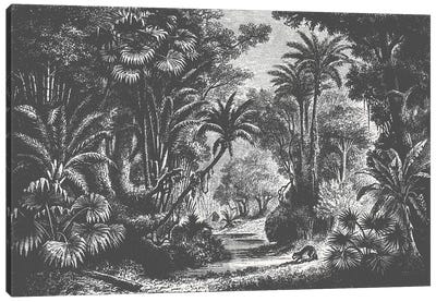Indian Jungle Canvas Art Print