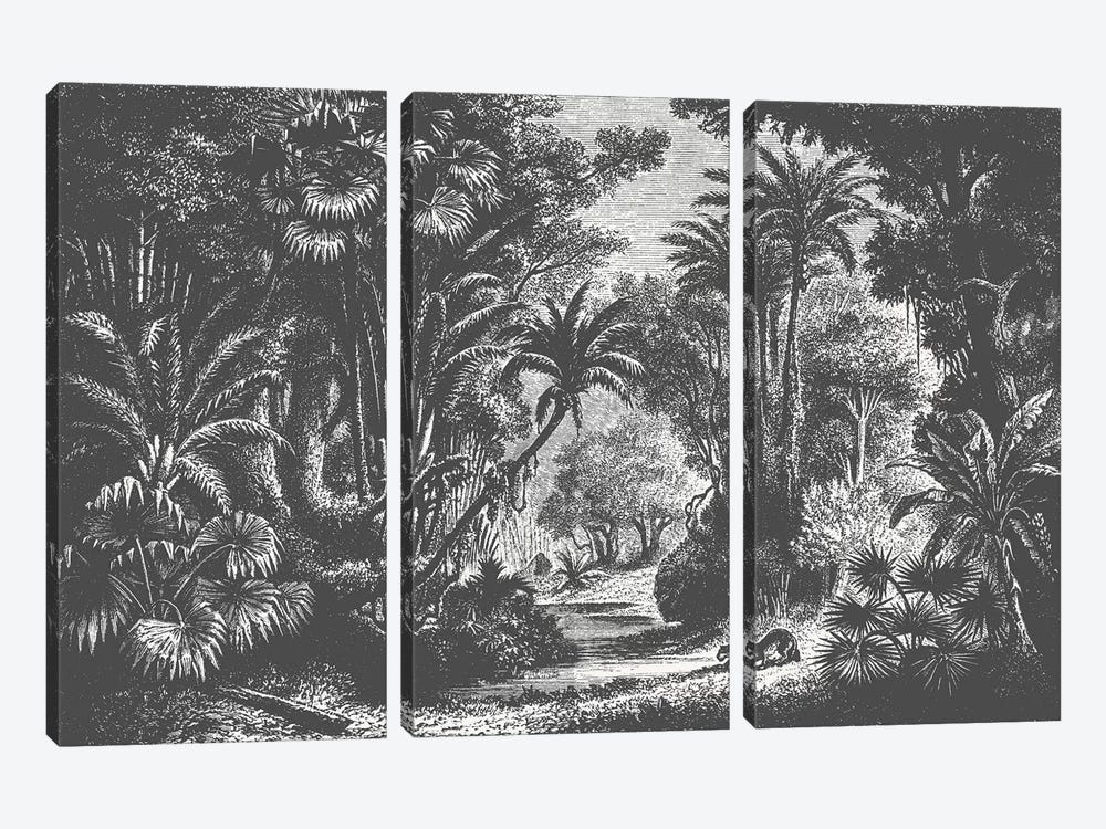 Indian Jungle by Florent Bodart 3-piece Canvas Print