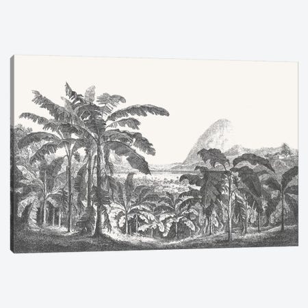 Palms and Mountain Canvas Print #FLB142} by Florent Bodart Canvas Art Print