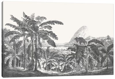Palms and Mountain Canvas Art Print - Florent Bodart
