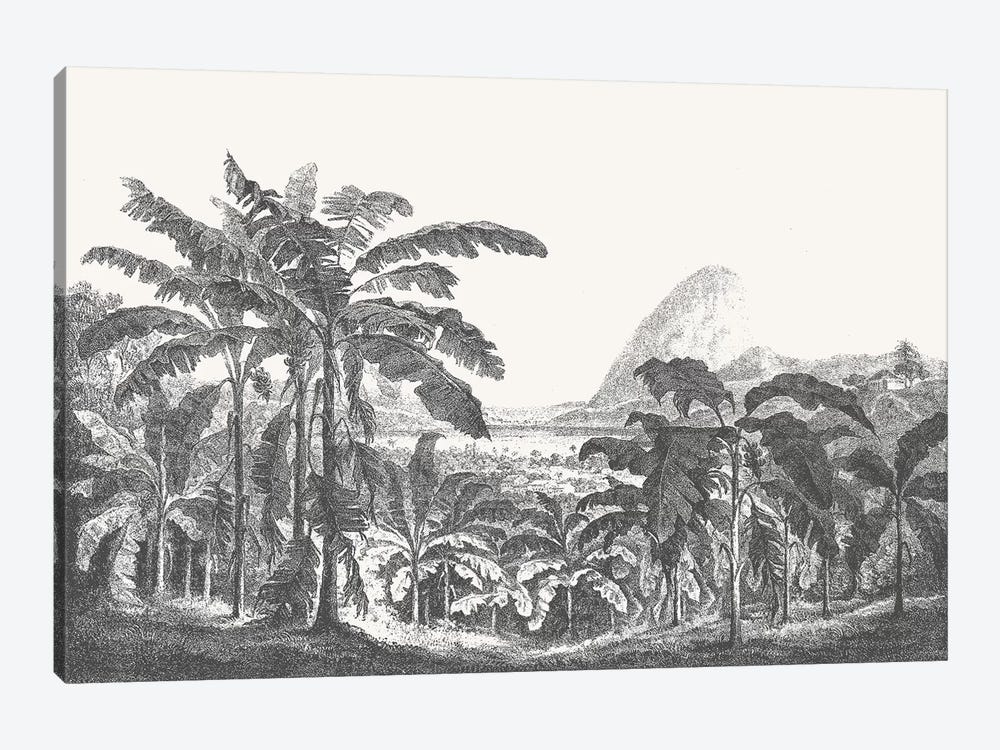 Palms and Mountain by Florent Bodart 1-piece Art Print