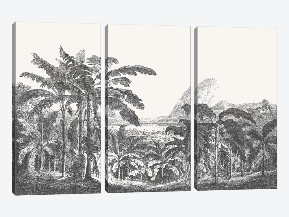 Palms and Mountain by Florent Bodart 3-piece Canvas Art Print