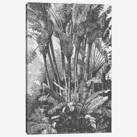 Palms in Water Canvas Print #FLB143} by Florent Bodart Art Print