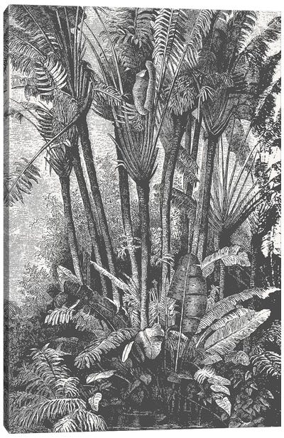 Palms in Water Canvas Art Print - Florent Bodart