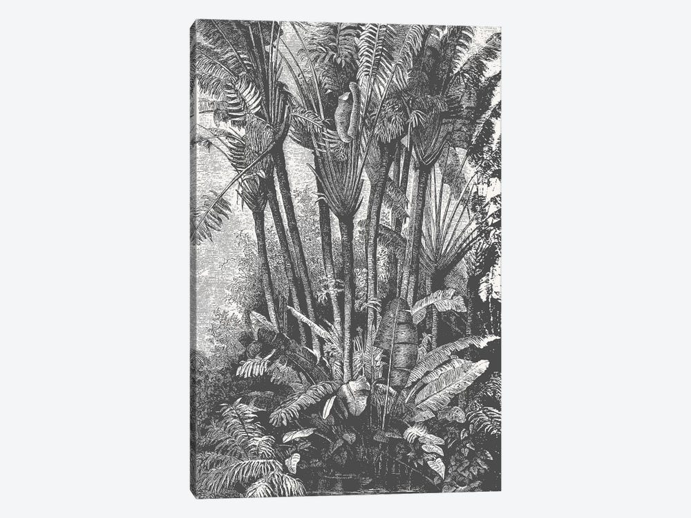Palms in Water by Florent Bodart 1-piece Canvas Artwork