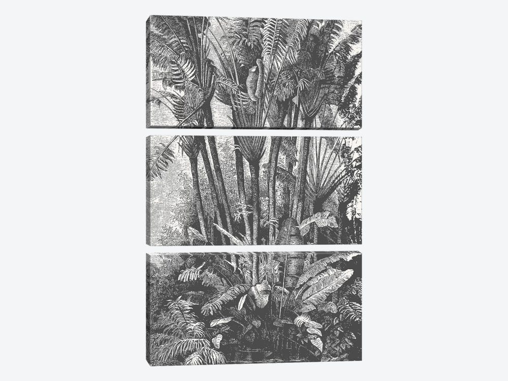 Palms in Water by Florent Bodart 3-piece Canvas Art