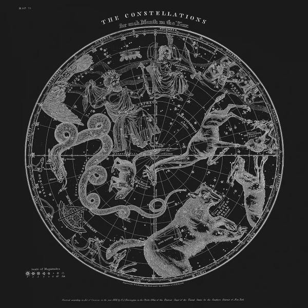 Kids Map Art: The Constellations by Florent Bodart