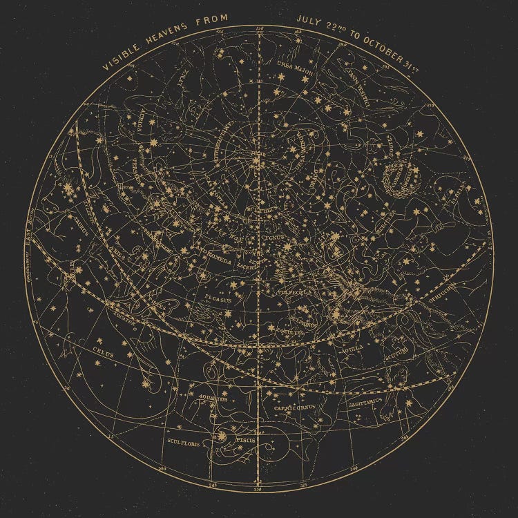 Visible Heavens On Dark by Florent Bodart canvas print