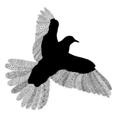 Bird on White by Florent Bodart framed canvas print