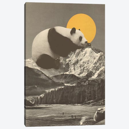 Giant Panda's Nap On Moutain Canvas Print #FLB181} by Florent Bodart Art Print