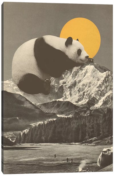 Giant Panda's Nap On Moutain Canvas Art Print - Panda Art