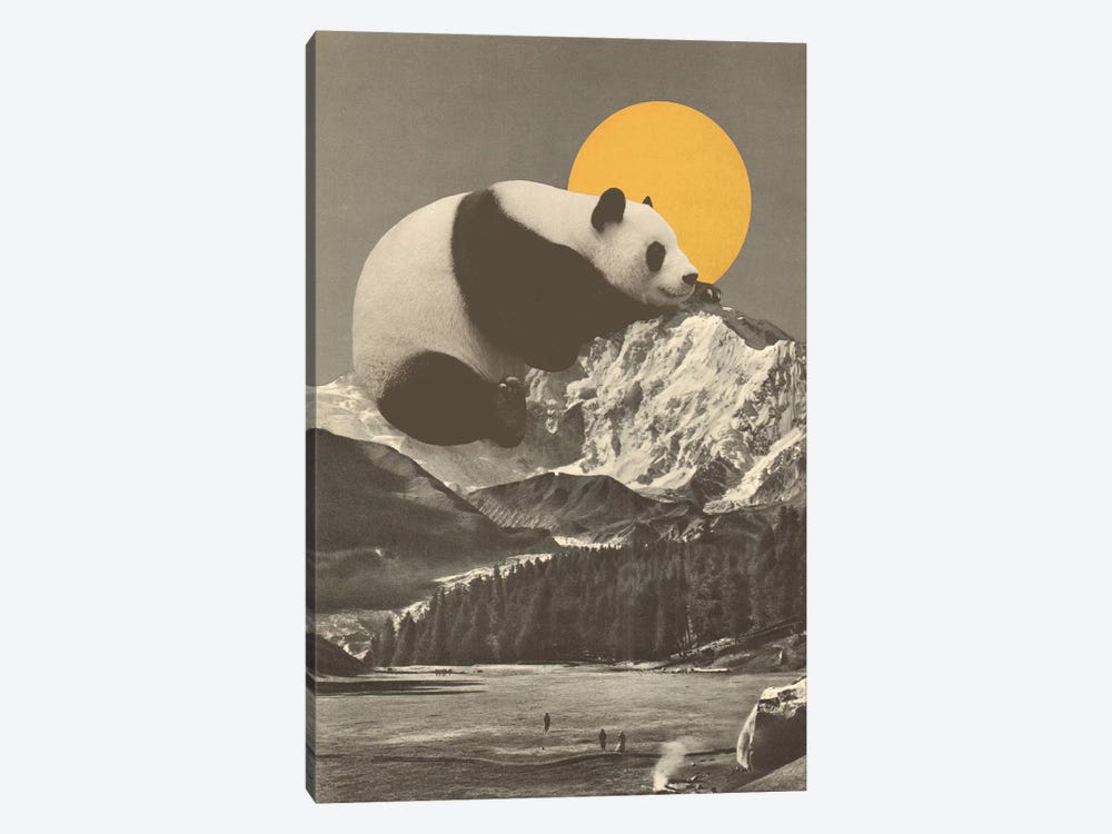 Giant Panda's Nap On Moutain by Florent Bodart 1-piece Canvas Artwork