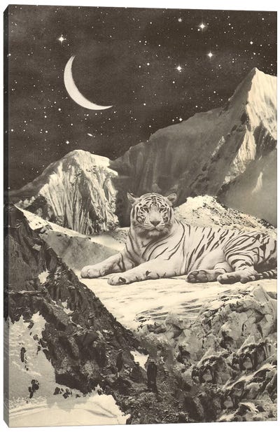 Giant White Tiger On Mountains Canvas Art Print - Gentle Giants