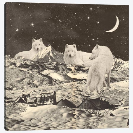 Giant White Wolves On Mountains Canvas Print #FLB183} by Florent Bodart Canvas Print