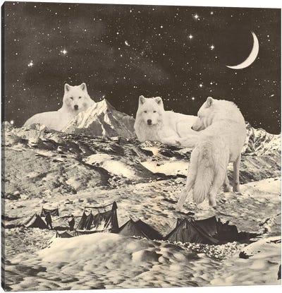 Giant White Wolves On Mountains Canvas Art Print - Gentle Giants