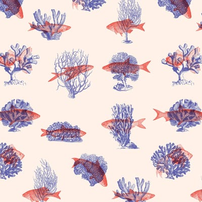 Where the Belong - Fish by Florent Bodart framed canvas print