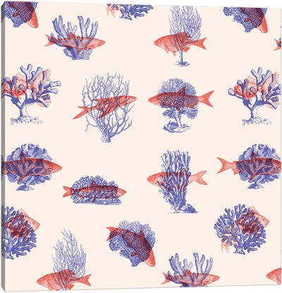 Where the Belong - Fish Canvas Art Print - Coral Art