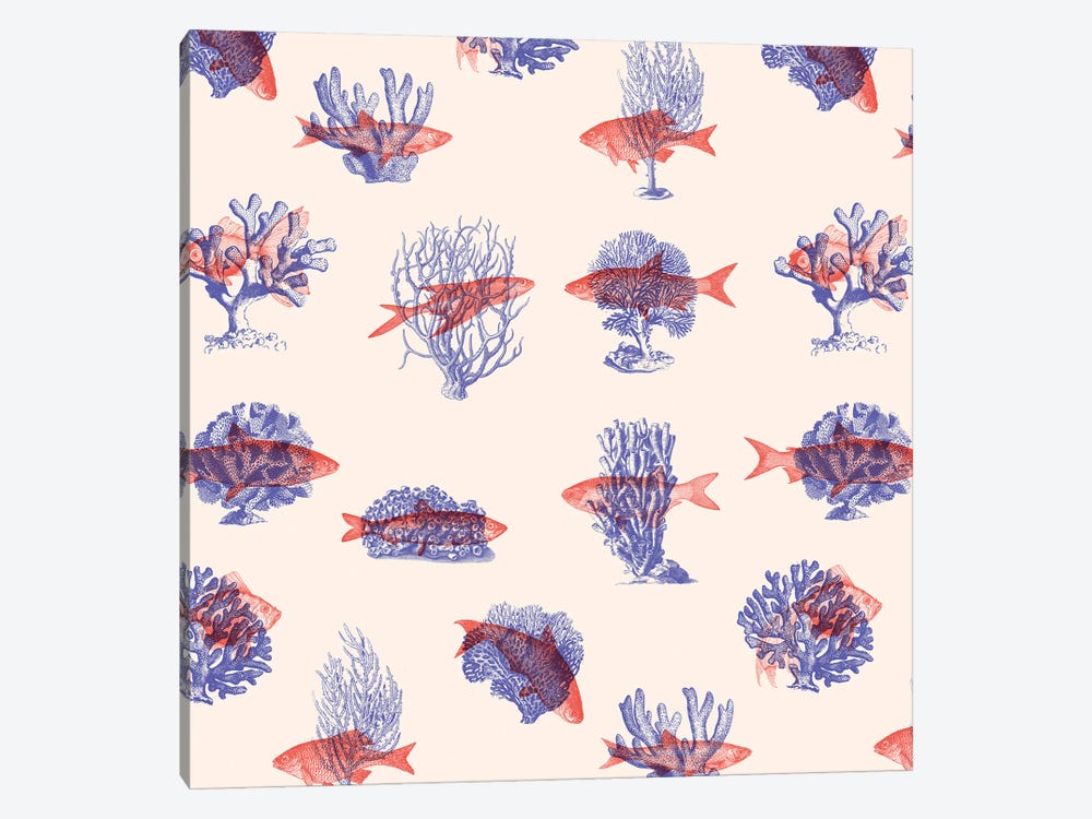 Where the Belong - Fish by Florent Bodart 1-piece Canvas Print