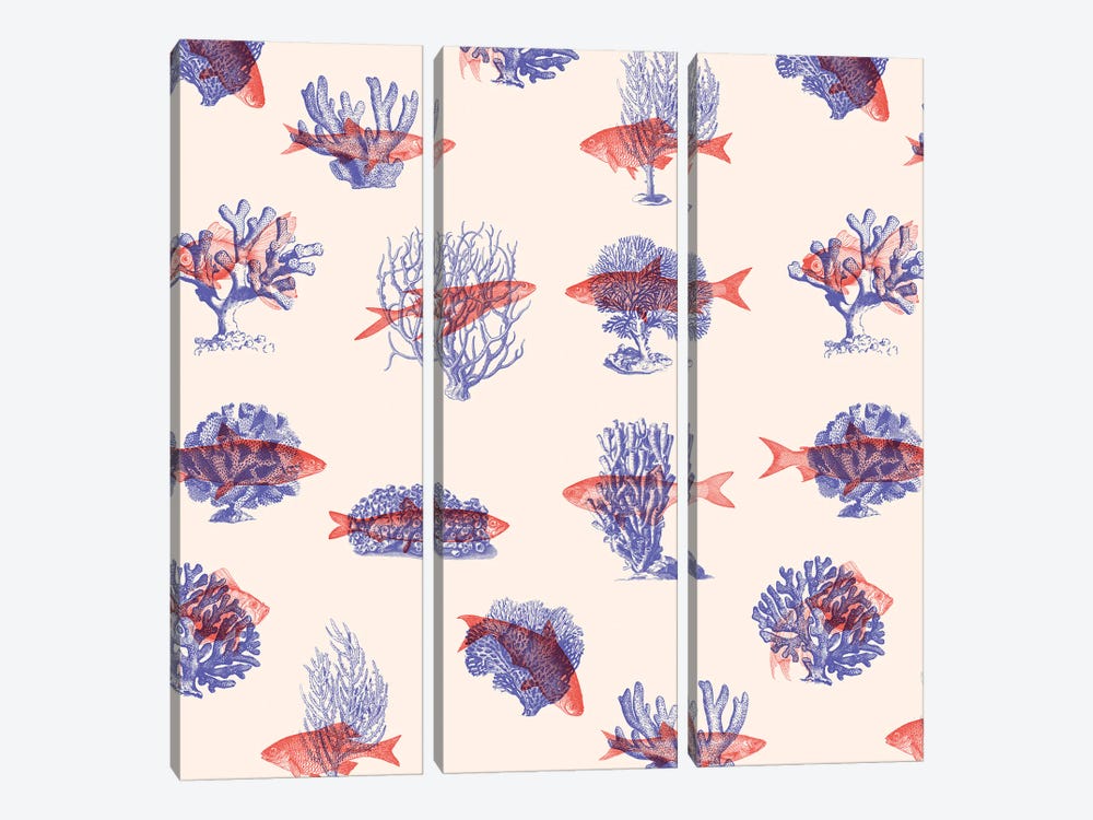 Where the Belong - Fish by Florent Bodart 3-piece Canvas Art Print