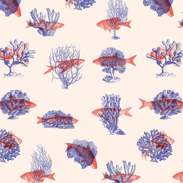 Florent Bodart: Where the Belong - Fish by Florent Bodart