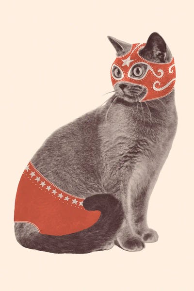 Florent Bodart: Cat Wrestler by Florent Bodart
