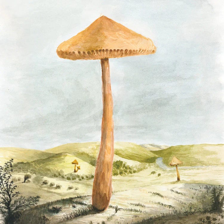 Mushland by Florent Bodart wall art