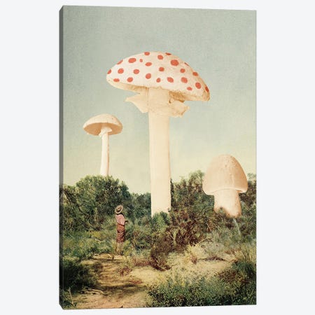 The Finest Giant Mushrooms Canvas Print #FLB199} by Florent Bodart Canvas Artwork