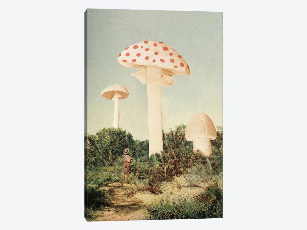 The Finest Giant Mushrooms by Florent Bodart 1-piece Art Print