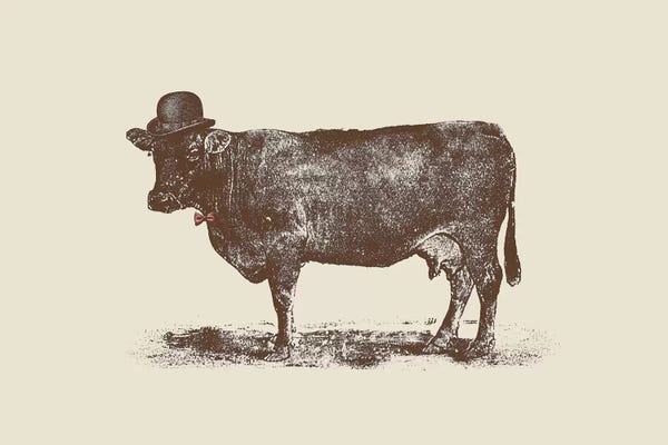 Florent Bodart: Cow Cow Nut by Florent Bodart
