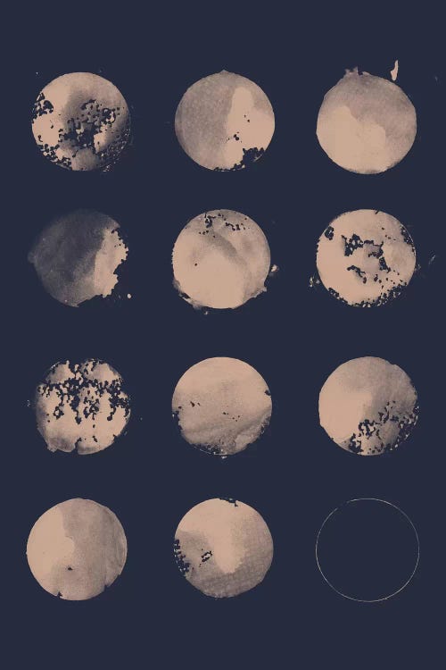 12 Moons