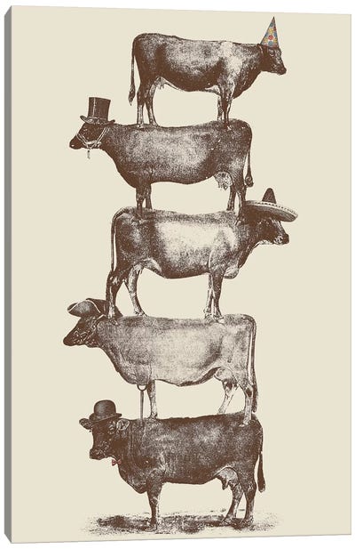 Cow Cow Nuts Canvas Art Print - Animal Humor Art