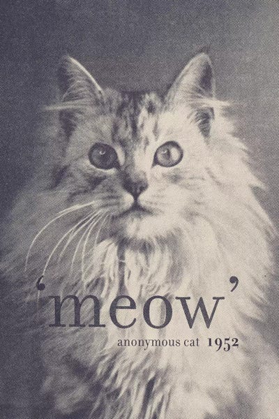 Florent Bodart: Famous Quotes (Cat) by Florent Bodart
