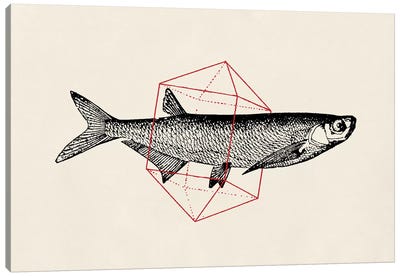 Fish In Geometrics II Canvas Art Print - Kids Nautical Art