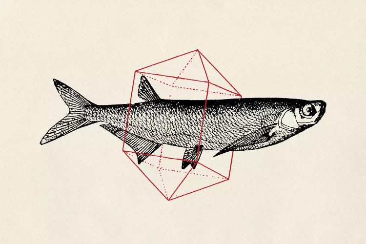 Fish In Geometrics II