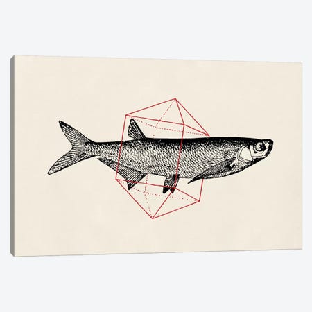 Fish In Geometrics II Canvas Print #FLB36} by Florent Bodart Art Print