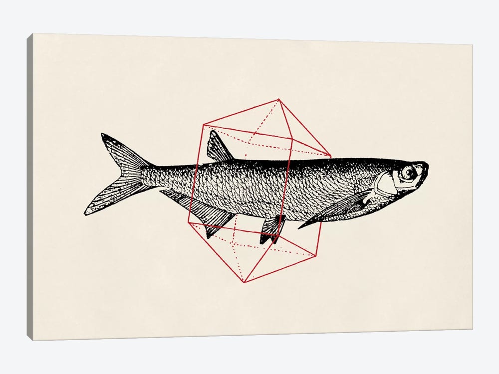 Fish In Geometrics II by Florent Bodart 1-piece Art Print