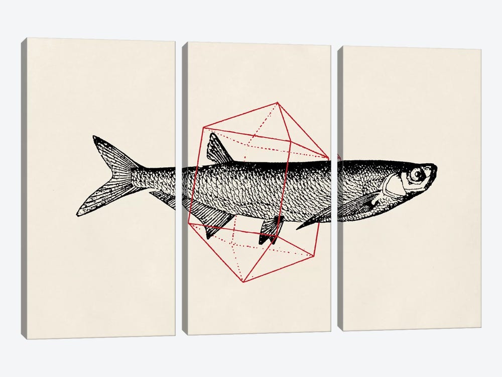 Fish In Geometrics II by Florent Bodart 3-piece Art Print