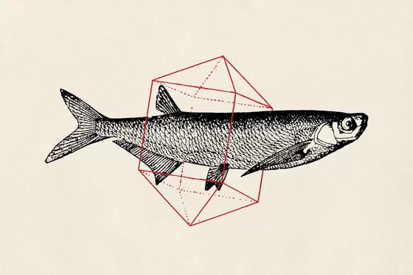 Florent Bodart: Fish In Geometrics II by Florent Bodart