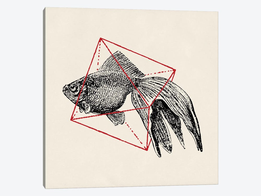 Fish In Geometrics III by Florent Bodart 1-piece Canvas Art