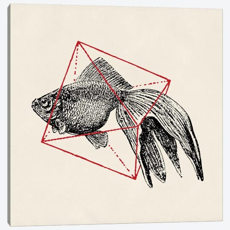 Fish In Geometrics III Canvas Print #FLB37} by Florent Bodart Art Print