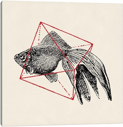 Fish In Geometrics III Canvas Art Print - Florent Bodart