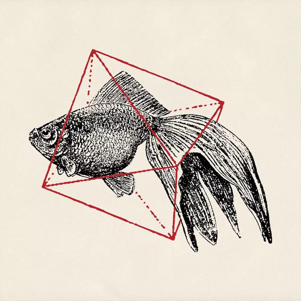 Florent Bodart: Fish In Geometrics III by Florent Bodart