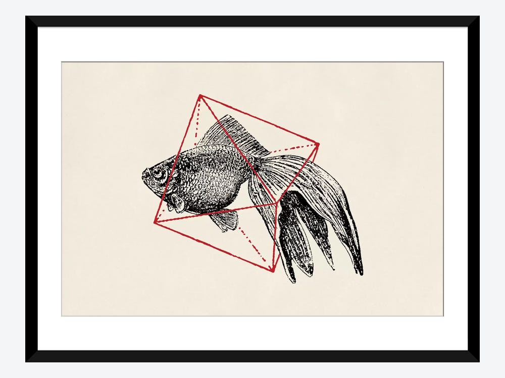Fish In Geometrics III (wide) Art Print by Florent Bodart