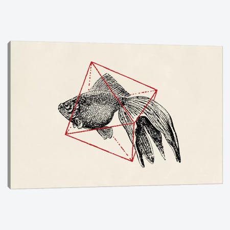 Fish In Geometrics III (wide) Canvas Print #FLB38} by Florent Bodart Canvas Art